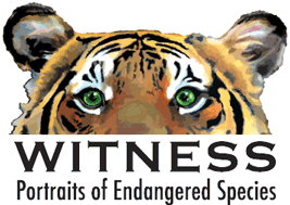 WITNESS: Portraits of Endangered Species
