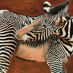 Grevys Zebra | Itch